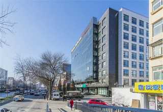 松江区花园景观假山鱼池绿化设计